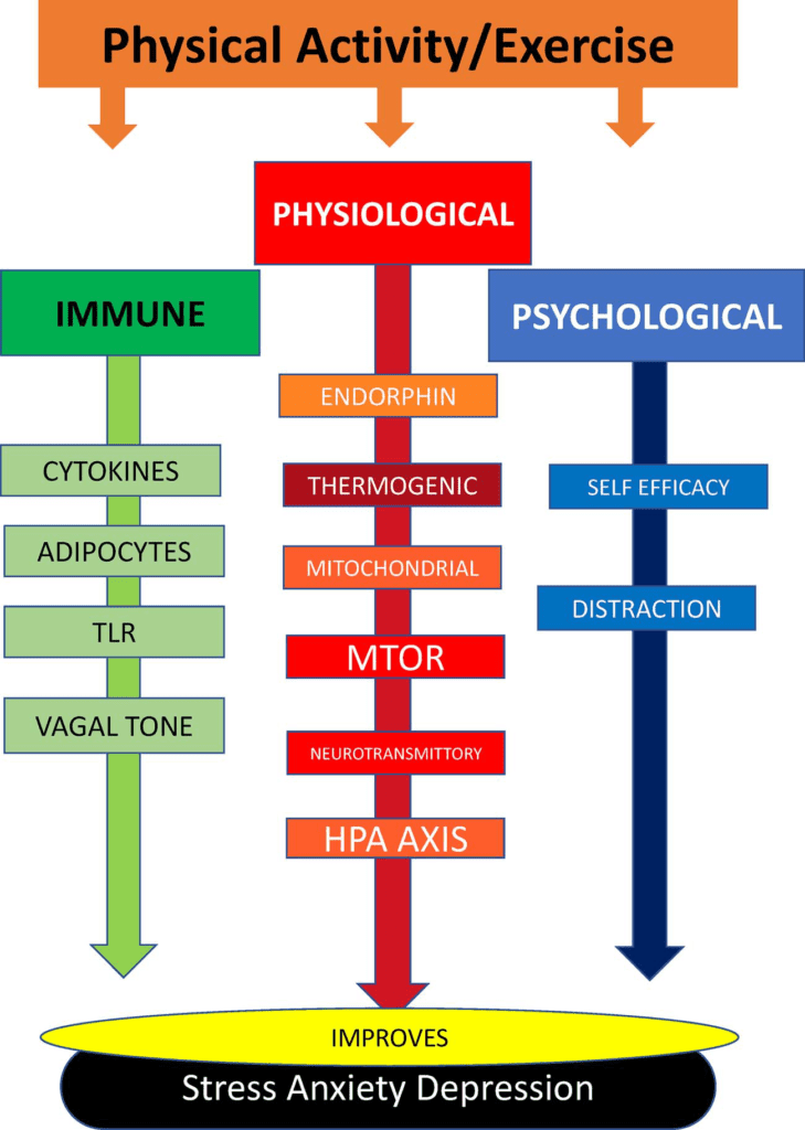 Stress e attività fisica: i fattori che incidono